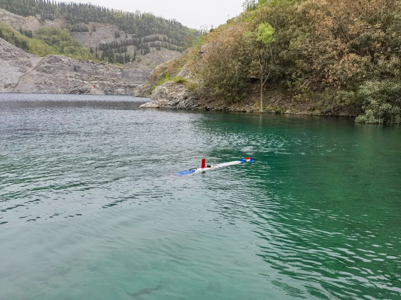 1769065705981481.jpg 6.jpg